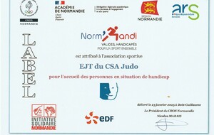 686c20ecbdffe_LABELNORMHANDICSAORIGINAL.jpg